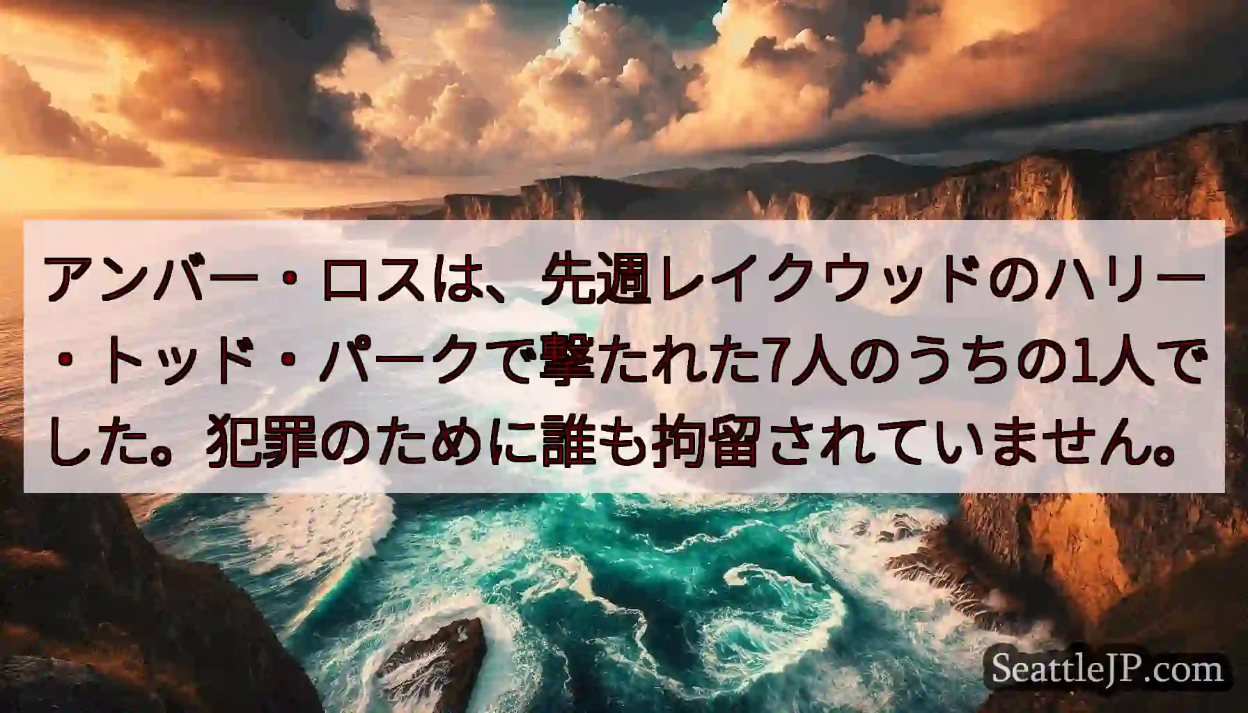 アンバー・ロスは、先週レイクウッドのハリー・トッド・パークで撃たれた7人のうちの1人でした。犯罪のた