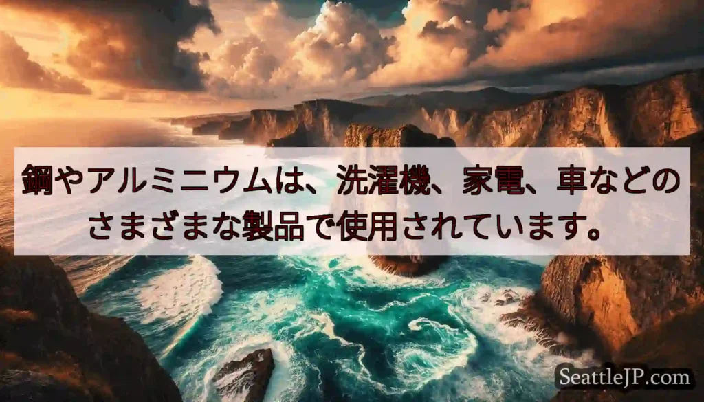 鋼やアルミニウムは、洗濯機、家電、車などのさまざまな製品で使用されています。