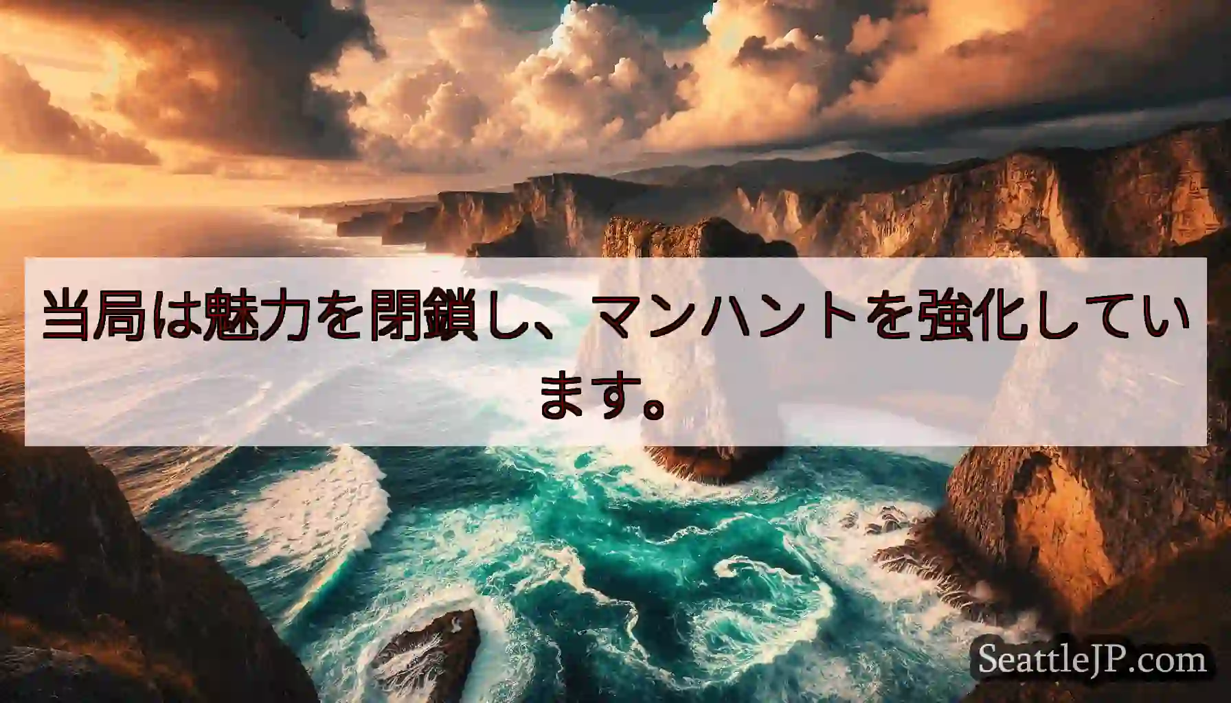 当局は魅力を閉鎖し、マンハントを強化しています。
