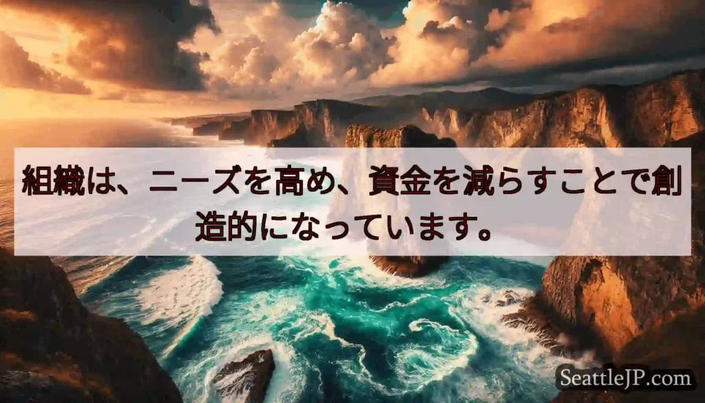 組織は、ニーズを高め、資金を減らすことで創造的になっています。