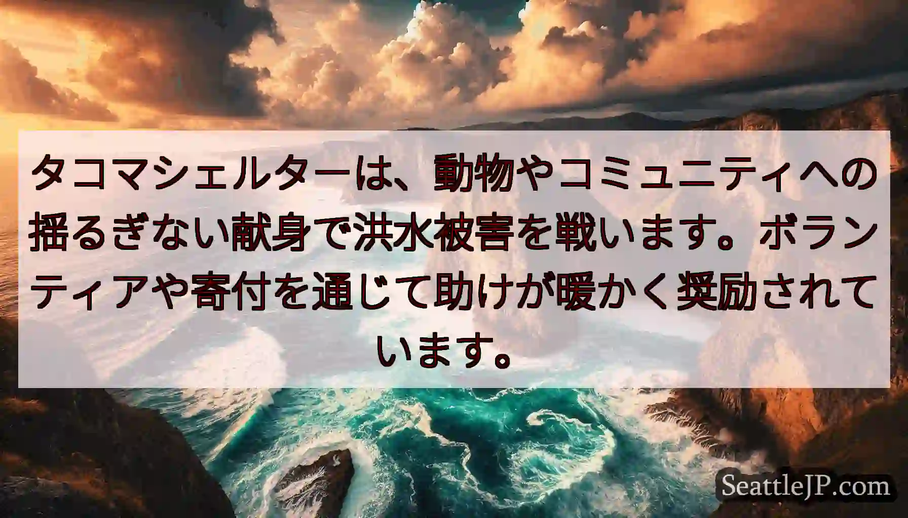 タコマシェルターは、動物やコミュニティへの揺るぎない献身で洪水被害を戦います。ボランティアや寄付を通