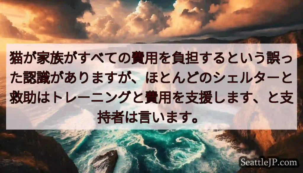 猫が家族がすべての費用を負担するという誤った認識がありますが、ほとんどのシェルターと救助はトレーニン