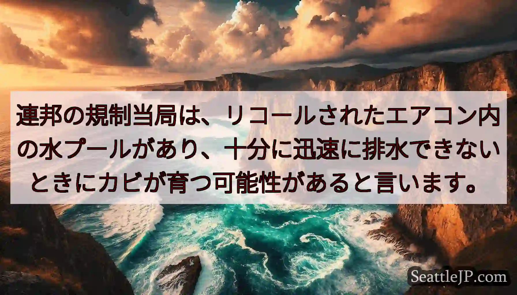 連邦の規制当局は、リコールされたエアコン内の水プールがあり、十分に迅速に排水できないときにカビが育つ