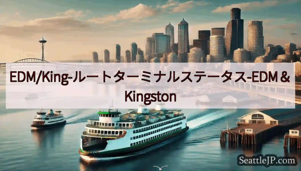 EDM/King-ルートターミナルステータス-EDM＆Kingston