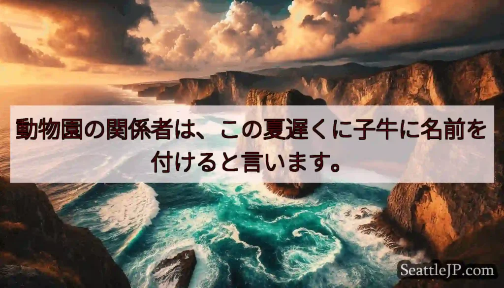 動物園の関係者は、この夏遅くに子牛に名前を付けると言います。