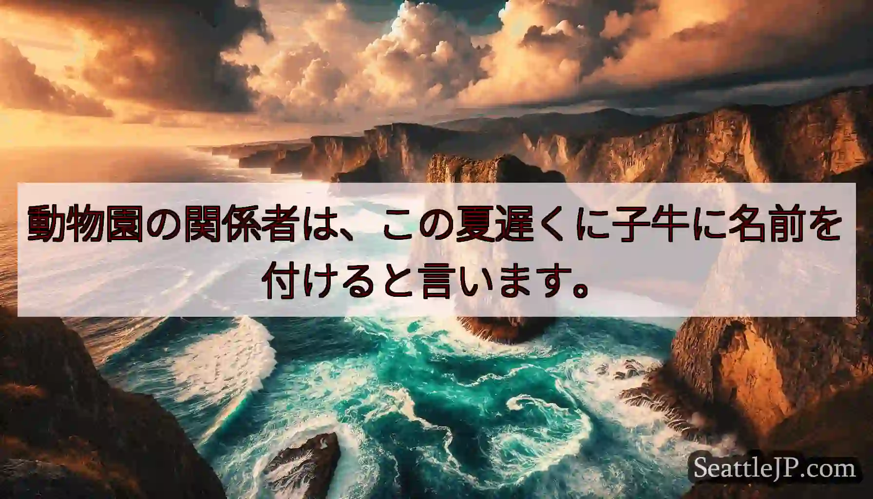 動物園の関係者は、この夏遅くに子牛に名前を付けると言います。