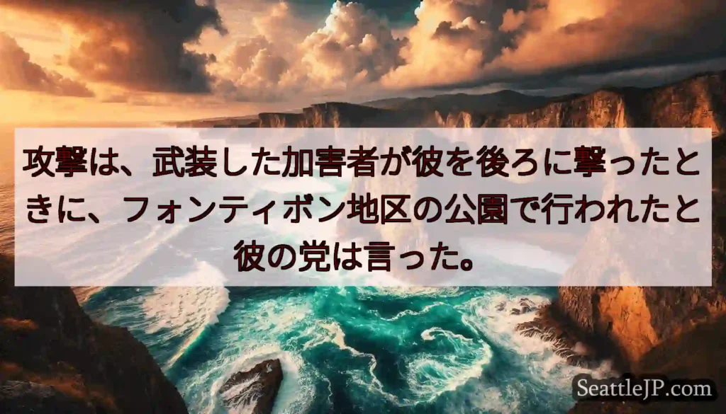 攻撃は、武装した加害者が彼を後ろに撃ったときに、フォンティボン地区の公園で行われたと彼の党は言った。