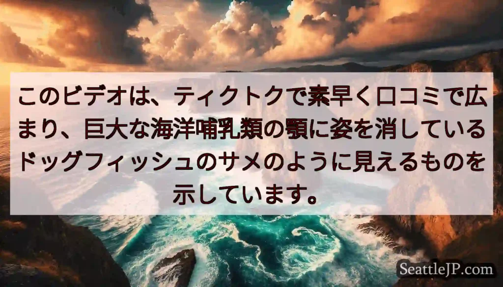 このビデオは、ティクトクで素早く口コミで広まり、巨大な海洋哺乳類の顎に姿を消しているドッグフィッシュ