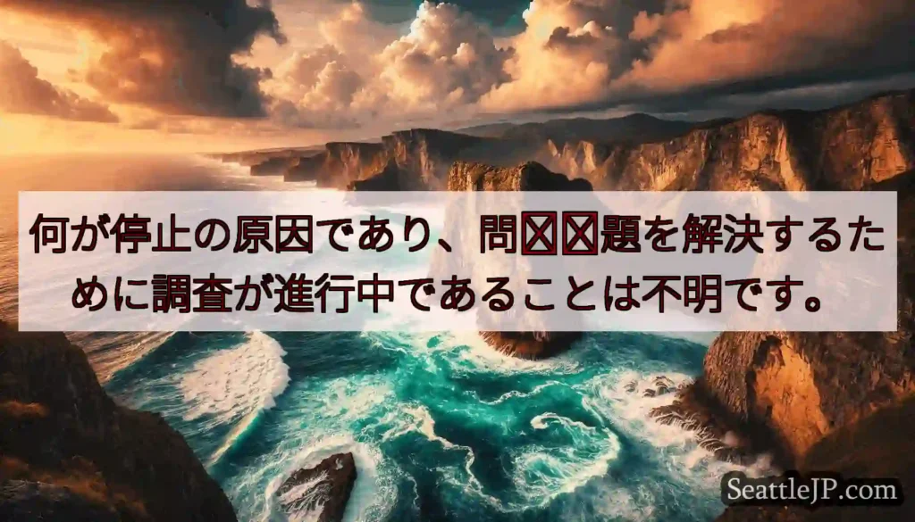 何が停止の原因であり、問​​題を解決するために調査が進行中であることは不明です。