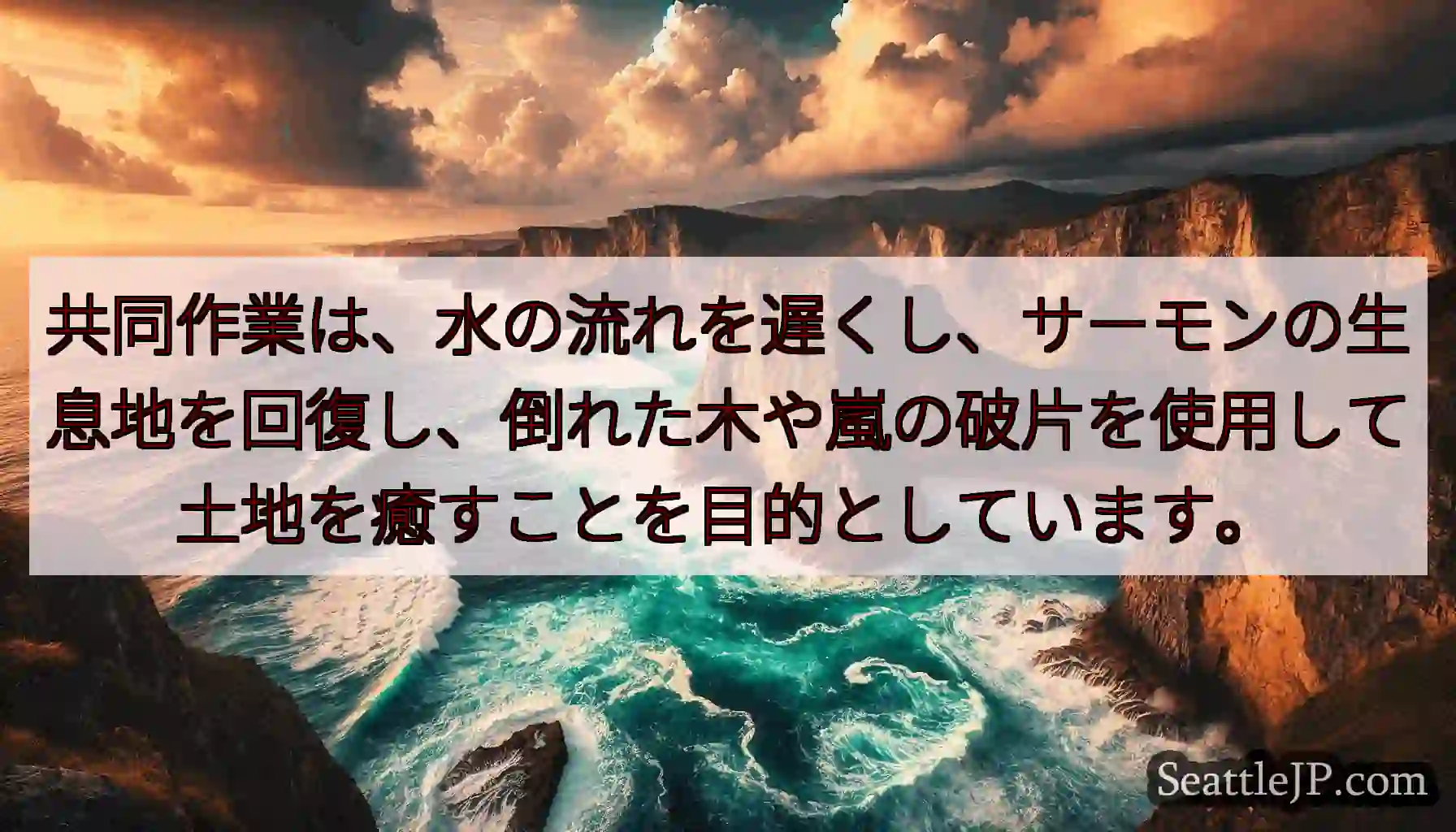 共同作業は、水の流れを遅くし、サーモンの生息地を回復し、倒れた木や嵐の破片を使用して土地を癒すことを