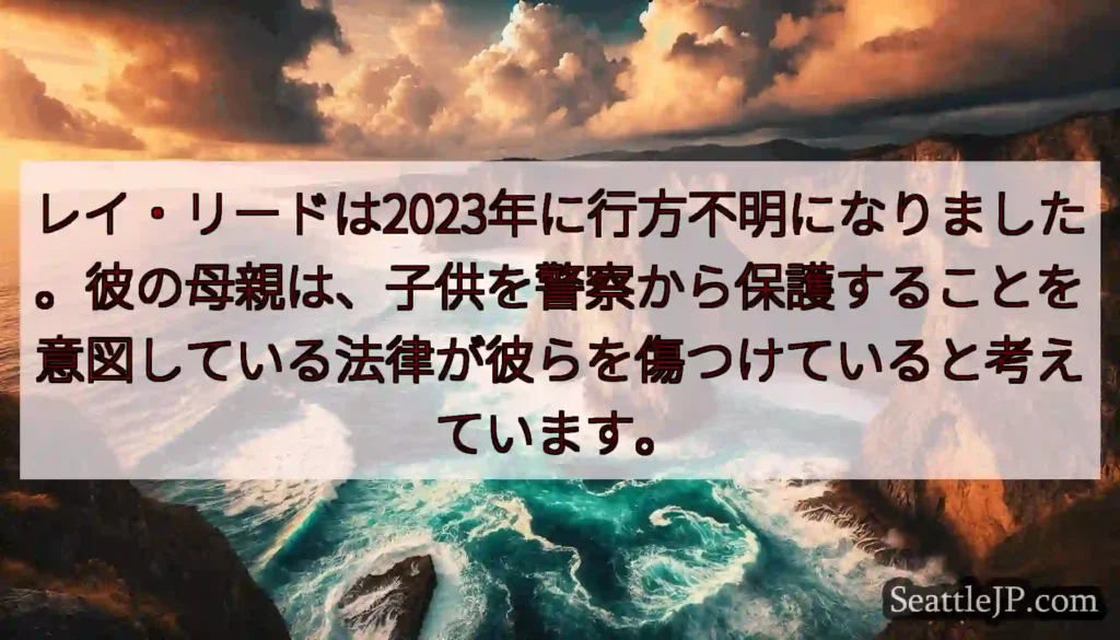 レイ・リードは2023年に行方不明になりました。彼の母親は、子供を警察から保護することを意図している