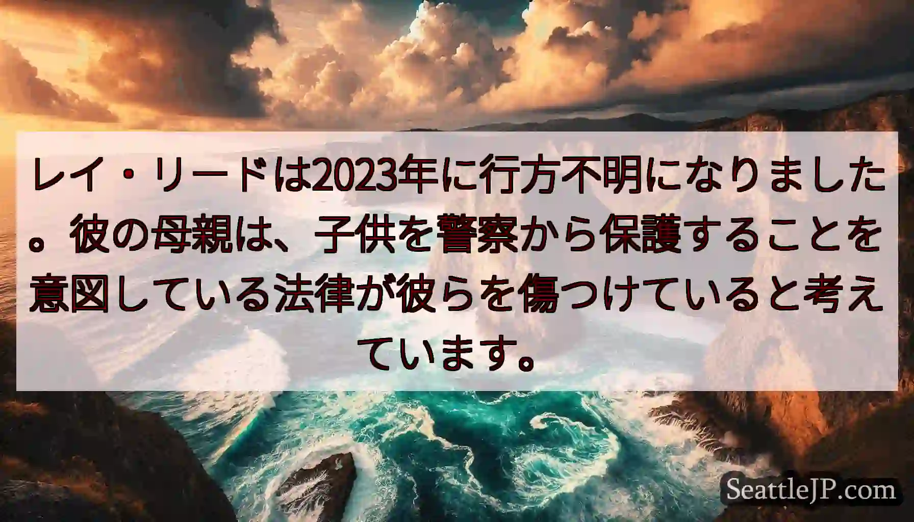レイ・リードは2023年に行方不明になりました。彼の母親は、子供を警察から保護することを意図している