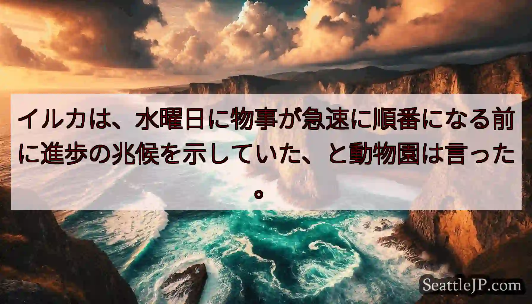 イルカは、水曜日に物事が急速に順番になる前に進歩の兆候を示していた、と動物園は言った。
