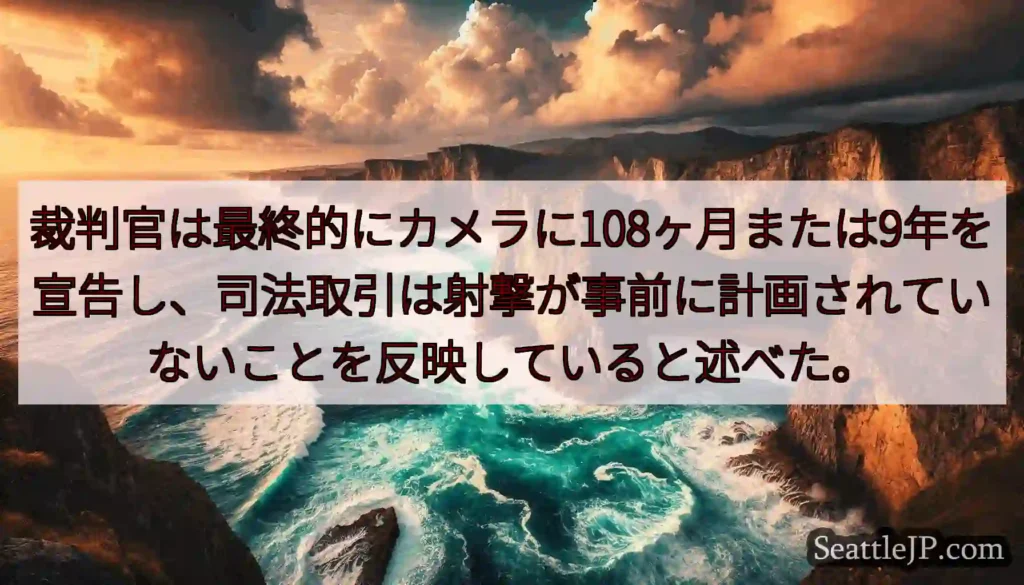 裁判官は最終的にカメラに108ヶ月または9年を宣告し、司法取引は射撃が事前に計画されていないことを反