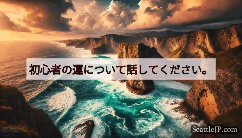 初心者の運について話してください。