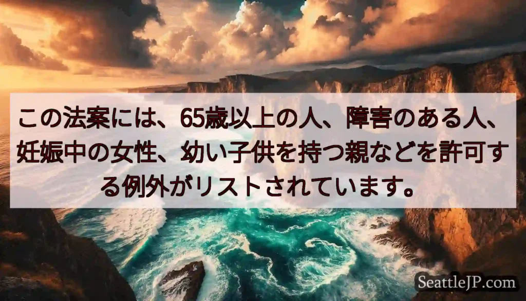 この法案には、65歳以上の人、障害のある人、妊娠中の女性、幼い子供を持つ親などを許可する例外がリスト