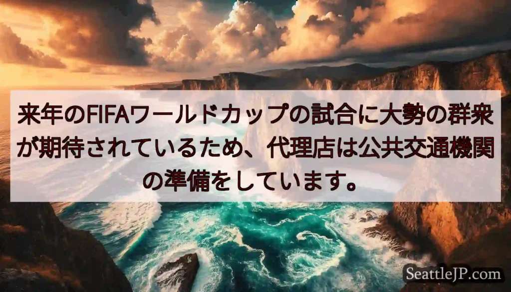 来年のFIFAワールドカップの試合に大勢の群衆が期待されているため、代理店は公共交通機関の準備をして