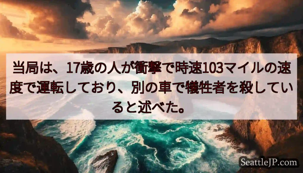当局は、17歳の人が衝撃で時速103マイルの速度で運転しており、別の車で犠牲者を殺していると述べた。