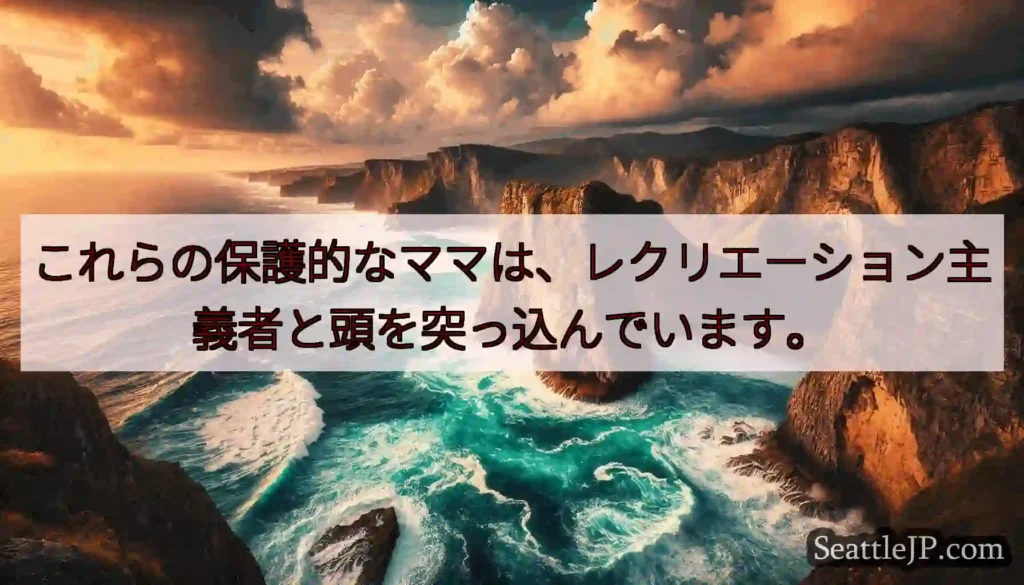 これらの保護的なママは、レクリエーション主義者と頭を突っ込んでいます。