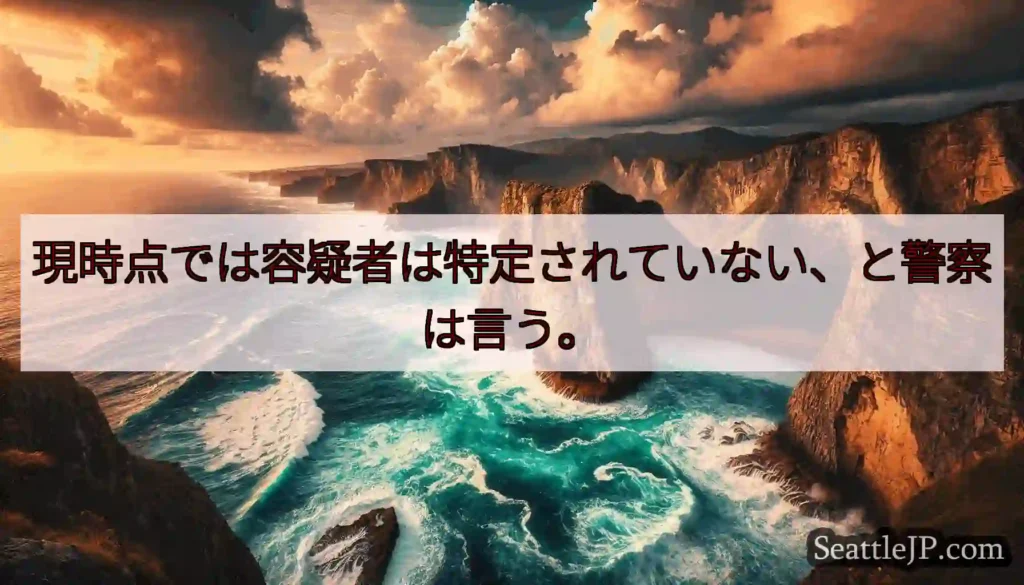 現時点では容疑者は特定されていない、と警察は言う。