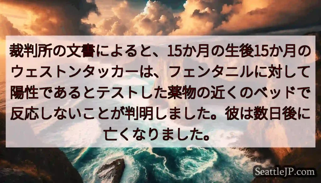 裁判所の文書によると、15か月の生後15か月のウェストンタッカーは、フェンタニルに対して陽性であると