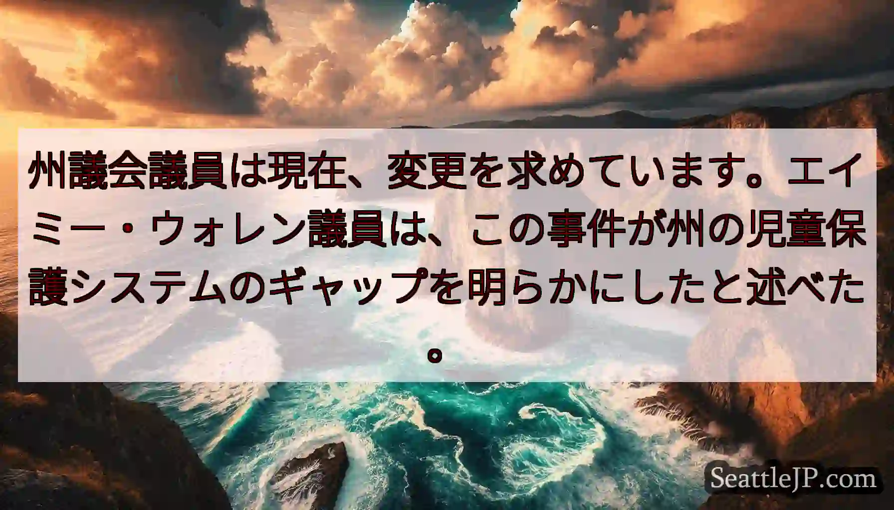 州議会議員は現在、変更を求めています。エイミー・ウォレン議員は、この事件が州の児童保護システムのギャ