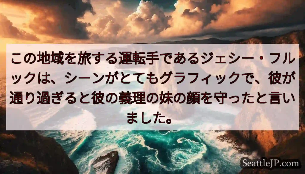 この地域を旅する運転手であるジェシー・フルックは、シーンがとてもグラフィックで、彼が通り過ぎると彼の
