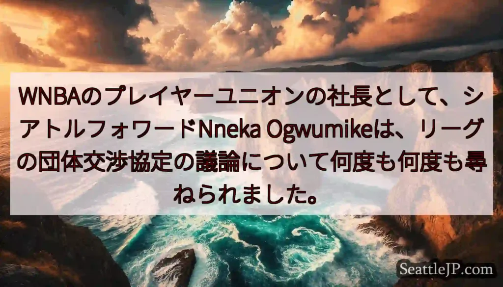 WNBAのプレイヤーユニオンの社長として、シアトルフォワードNneka