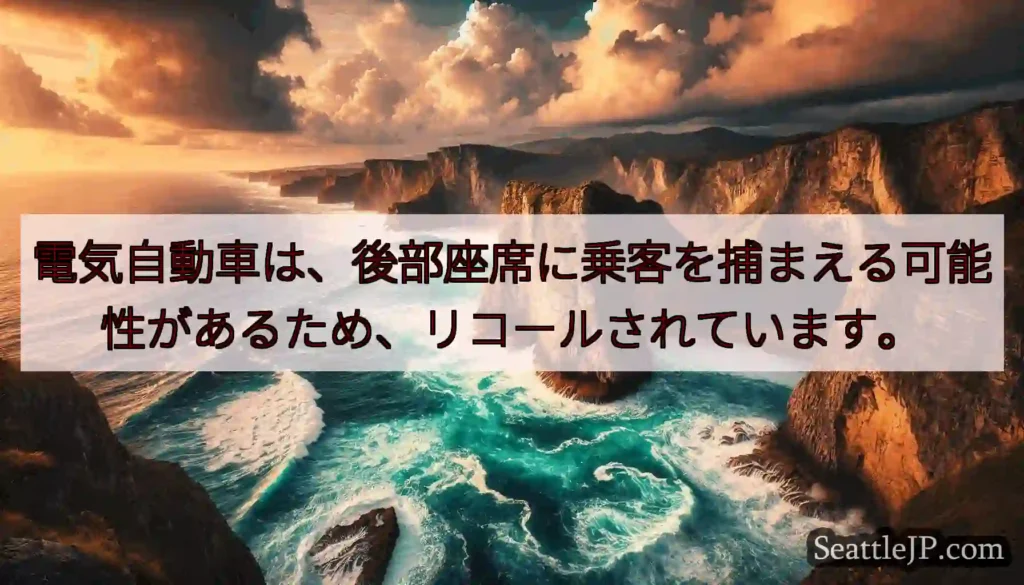 電気自動車は、後部座席に乗客を捕まえる可能性があるため、リコールされています。