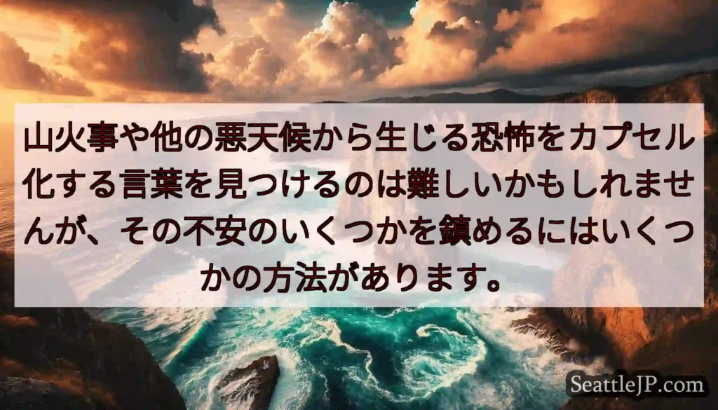 山火事や他の悪天候から生じる恐怖をカプセル化する言葉を見つけるのは難しいかもしれませんが、その不安の