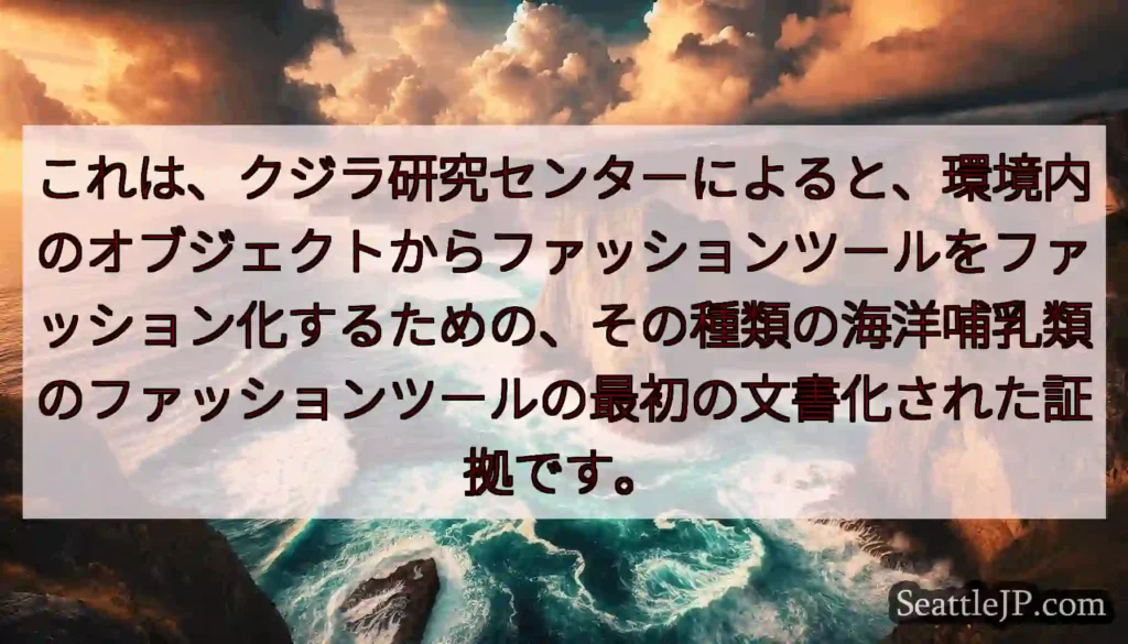 これは、クジラ研究センターによると、環境内のオブジェクトからファッションツールをファッション化するた