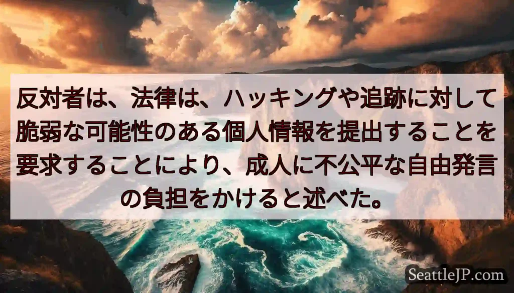 反対者は、法律は、ハッキングや追跡に対して脆弱な可能性のある個人情報を提出することを要求することによ