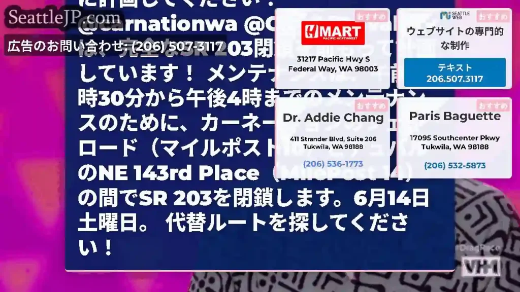 リマインダー：SR 203は、カーネーションのフェイロード（MP
