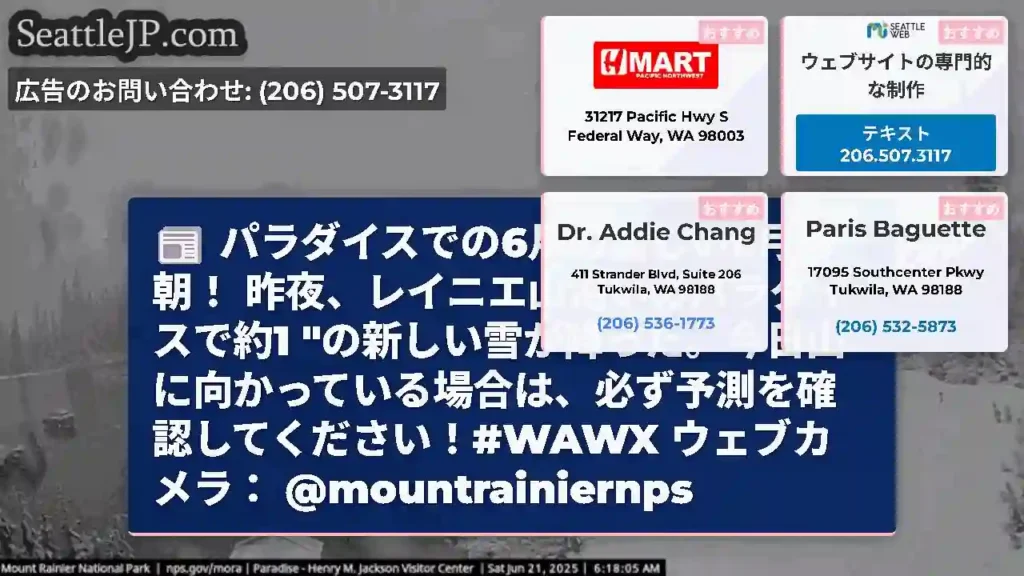 パラダイスでの6月の美しい6月の朝！