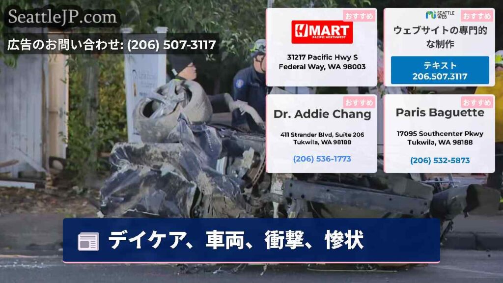 デイケア、車両、衝撃、惨状