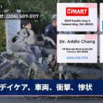 デイケア、車両、衝撃、惨状