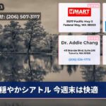 穏やかシアトル 今週末は快適