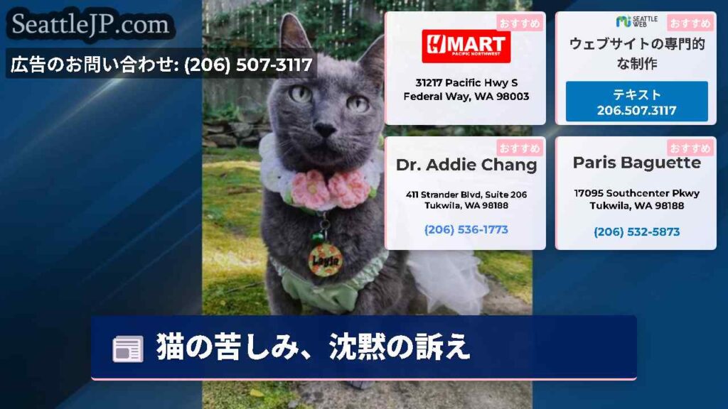 猫の苦しみ、沈黙の訴え