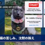猫の苦しみ、沈黙の訴え