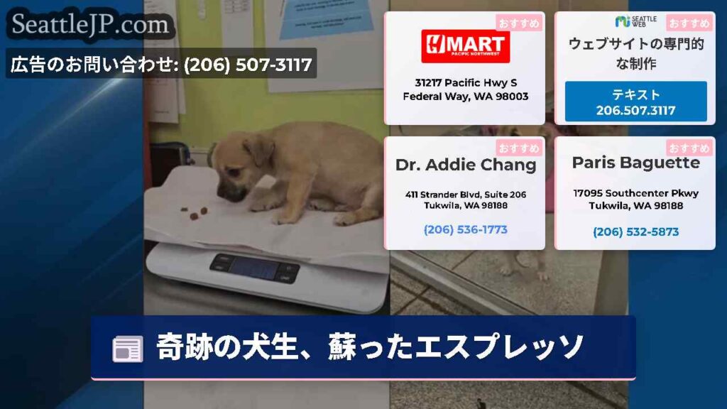 奇跡の犬生、蘇ったエスプレッソ