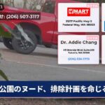 公園のヌード、排除計画を命じる