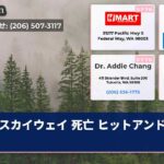 スカイウェイ 死亡 ヒットアンドラン