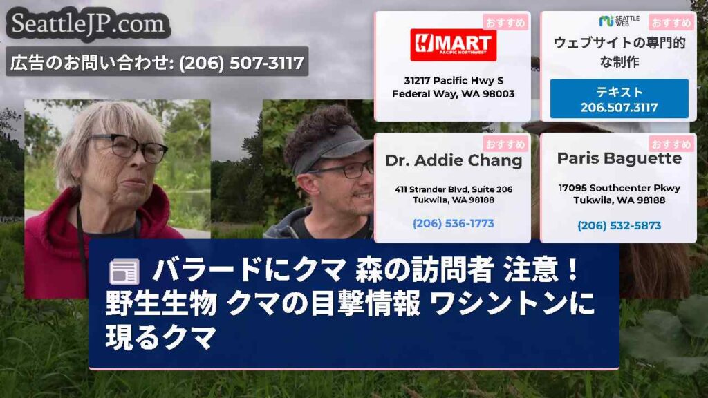バラードにクマ 森の訪問者 注意！野生生物 クマの目撃情報 ワシントンに現るクマ
