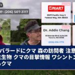 バラードにクマ 森の訪問者 注意！野生生物 クマの目撃情報 ワシントンに現るクマ