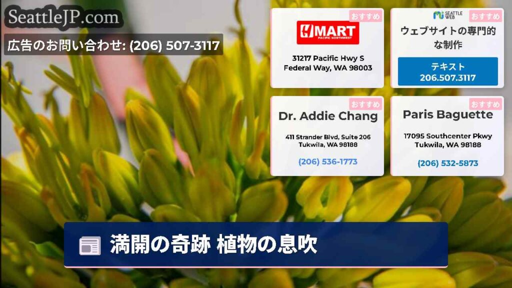 満開の奇跡 植物の息吹