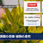 満開の奇跡 植物の息吹
