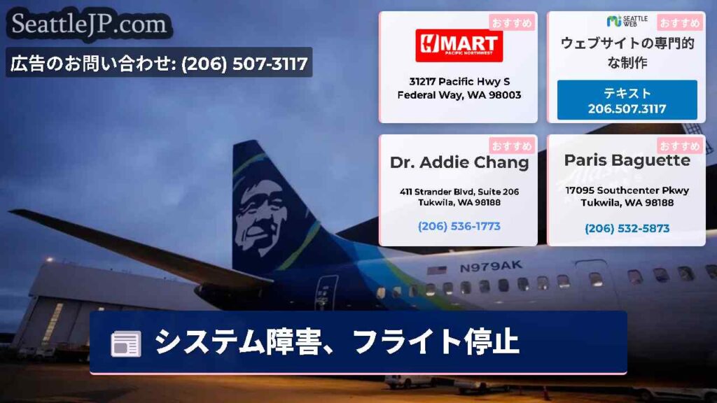 システム障害、フライト停止