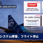 システム障害、フライト停止