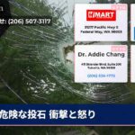 危険な投石 衝撃と怒り