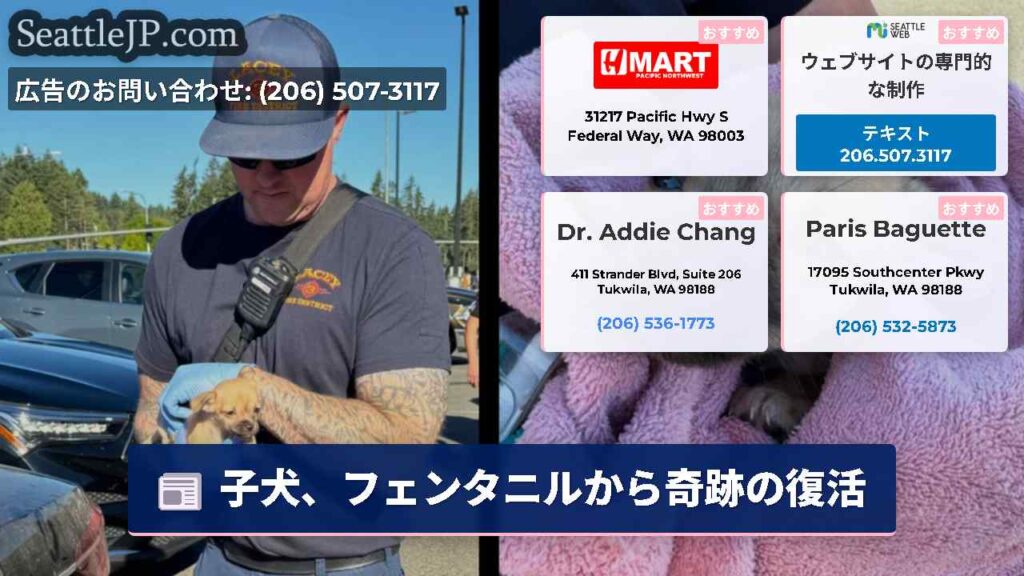 子犬、フェンタニルから奇跡の復活